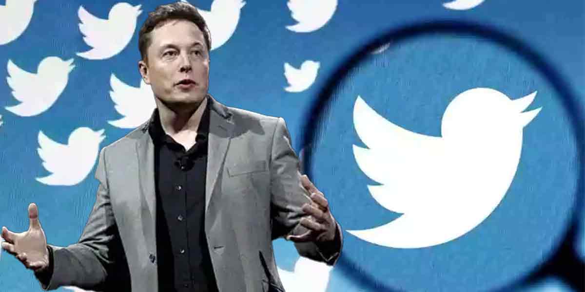Should I step down as head of Twitter? Elon Musk asks users